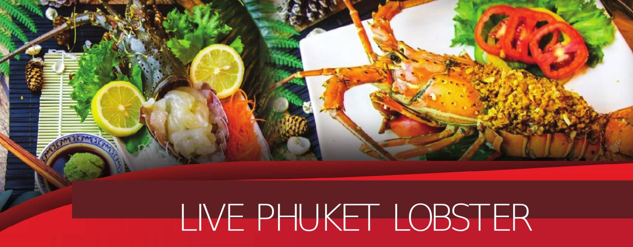 Live Phuket Lobster